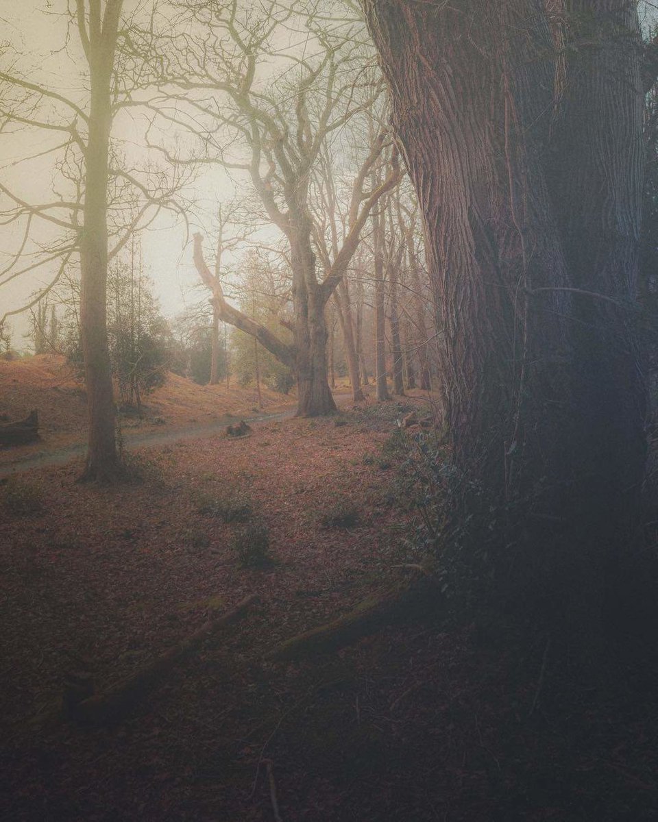 mextures's tweet image. "Tell Us About Your Editing Process." lttr.ai/Lqis #mextures #photography #Instagram