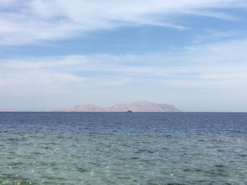 Sheraton_Sharm's tweet photo. Wish this New Year brings for you and your beloved ones lots of Joy, Happiness , and Good Health.
Happy New Year Everyone😊
#sheratonsharm #happynewyear #Happy2020 https://t.co/9zZIwPE1my