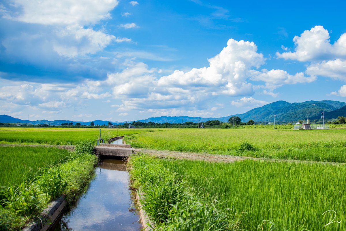 うさだだぬき 京都写真 V Twitter 田舎景色 ふと 夏の田園風景が懐かしくなる