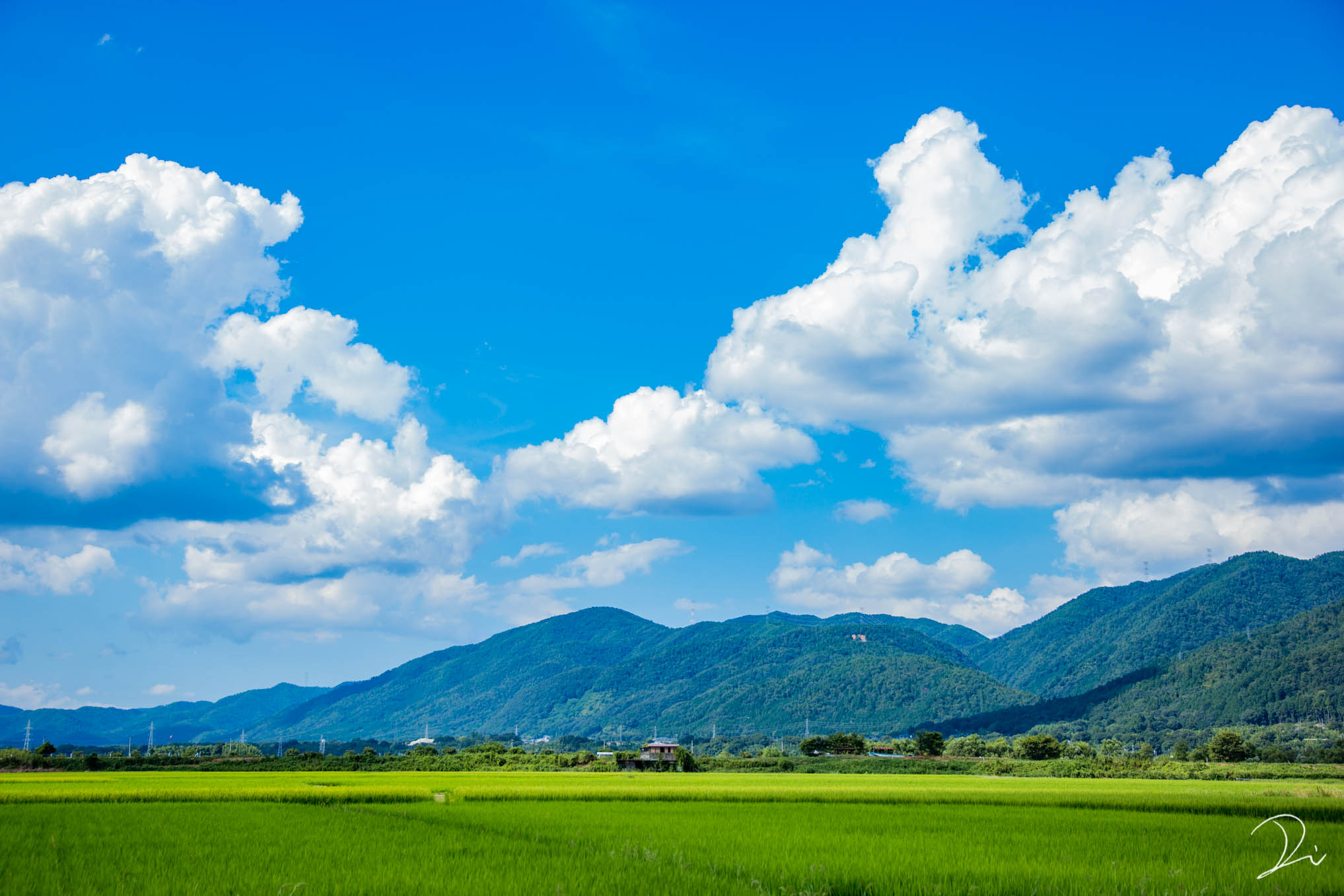 Twitter 上的 稲田大樹 うさだぬ 田舎景色 ふと 夏の田園風景が懐かしくなる T Co Tvnsveyfyc Twitter