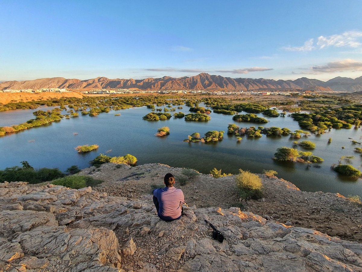 OmanTripper's tweet photo. Golden Hour at Al Ansab Dam ♥
I am so lucky to have this place literally minutes away from where I live, yet it was the first time I go and visit!
#BeautifulMuscat #Muscat #Oman #OmanTripper #عمان https://t.co/jlln153uRt