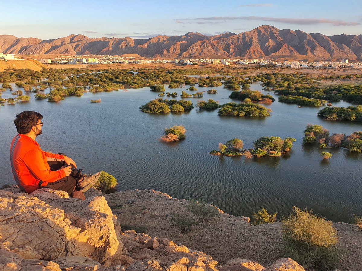 OmanTripper's tweet photo. Golden Hour at Al Ansab Dam ♥
I am so lucky to have this place literally minutes away from where I live, yet it was the first time I go and visit!
#BeautifulMuscat #Muscat #Oman #OmanTripper #عمان https://t.co/jlln153uRt