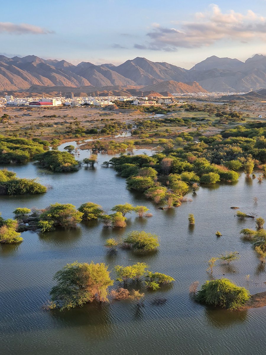 OmanTripper's tweet photo. Golden Hour at Al Ansab Dam ♥
I am so lucky to have this place literally minutes away from where I live, yet it was the first time I go and visit!
#BeautifulMuscat #Muscat #Oman #OmanTripper #عمان https://t.co/jlln153uRt