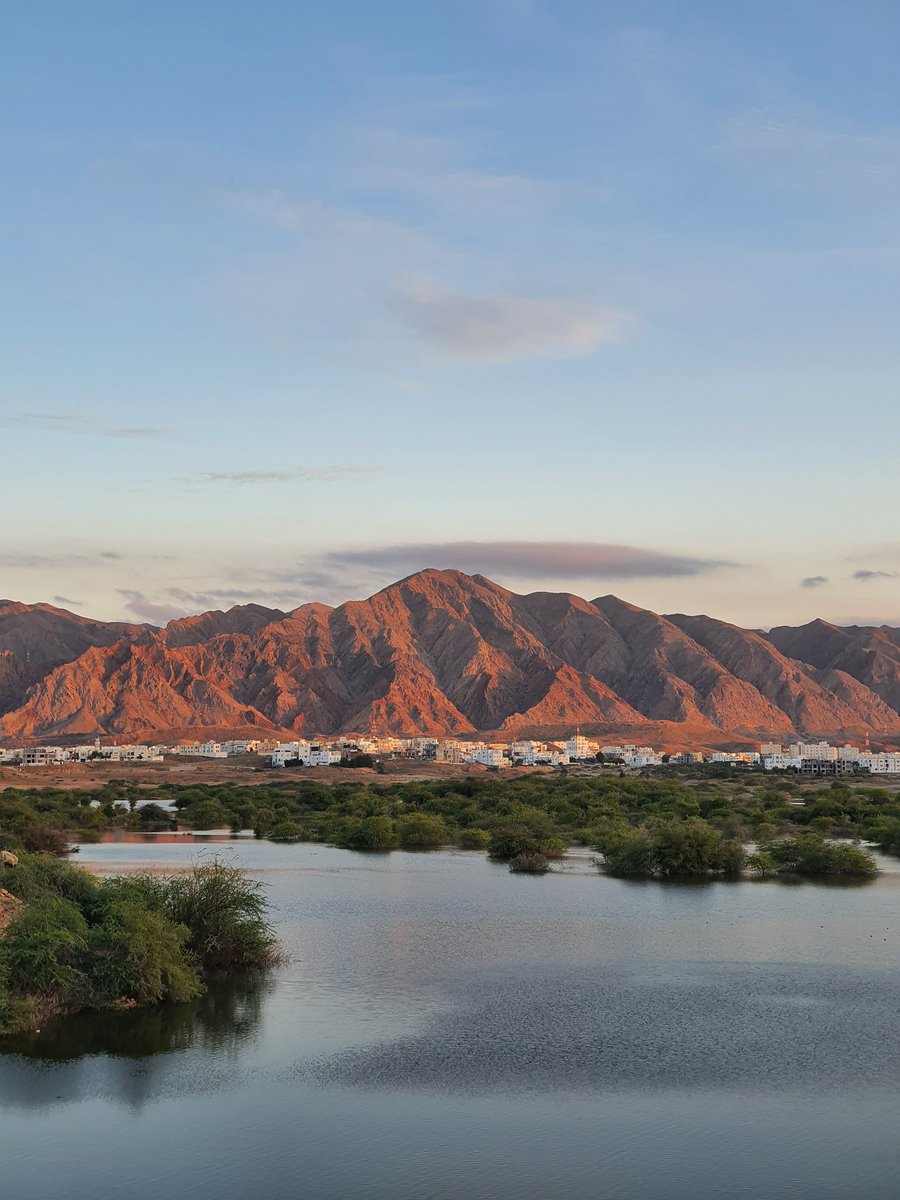 OmanTripper's tweet photo. Golden Hour at Al Ansab Dam ♥
I am so lucky to have this place literally minutes away from where I live, yet it was the first time I go and visit!
#BeautifulMuscat #Muscat #Oman #OmanTripper #عمان https://t.co/jlln153uRt