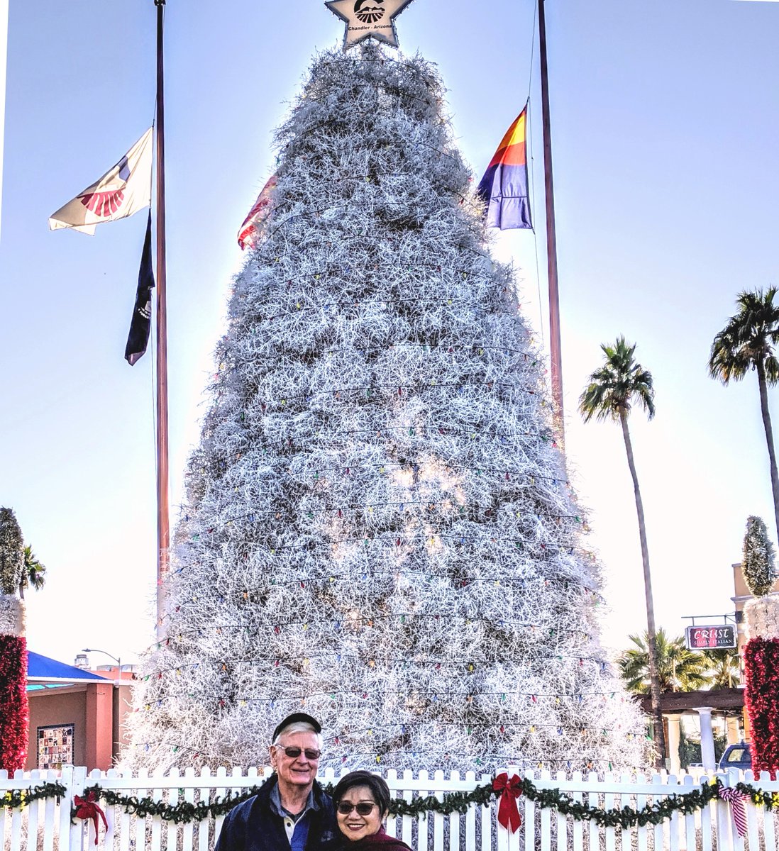 carolcruising's tweet photo. 2,000 tumbleweeds gathered together in a frame makes a unique holiday tree in the #Phoenix area, one of the things that make the desert special this Season. Also the #DesertBotanicalGarden  &amp; the #LightsoftheWorld via @carolcruising https://t.co/gIiSiCSoHN https://t.co/kCNPZcj1Hy