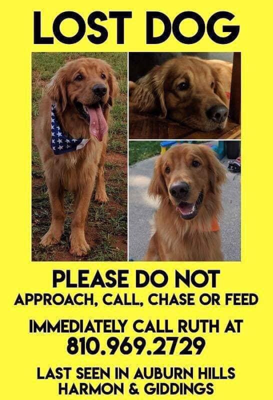 briana_smyth's tweet photo. Please retweet this. My cousins got into a roll over accident on Christmas Day and their dog is still missing. The more we share it, the better chances of Red being found. https://t.co/y59p7v68UI