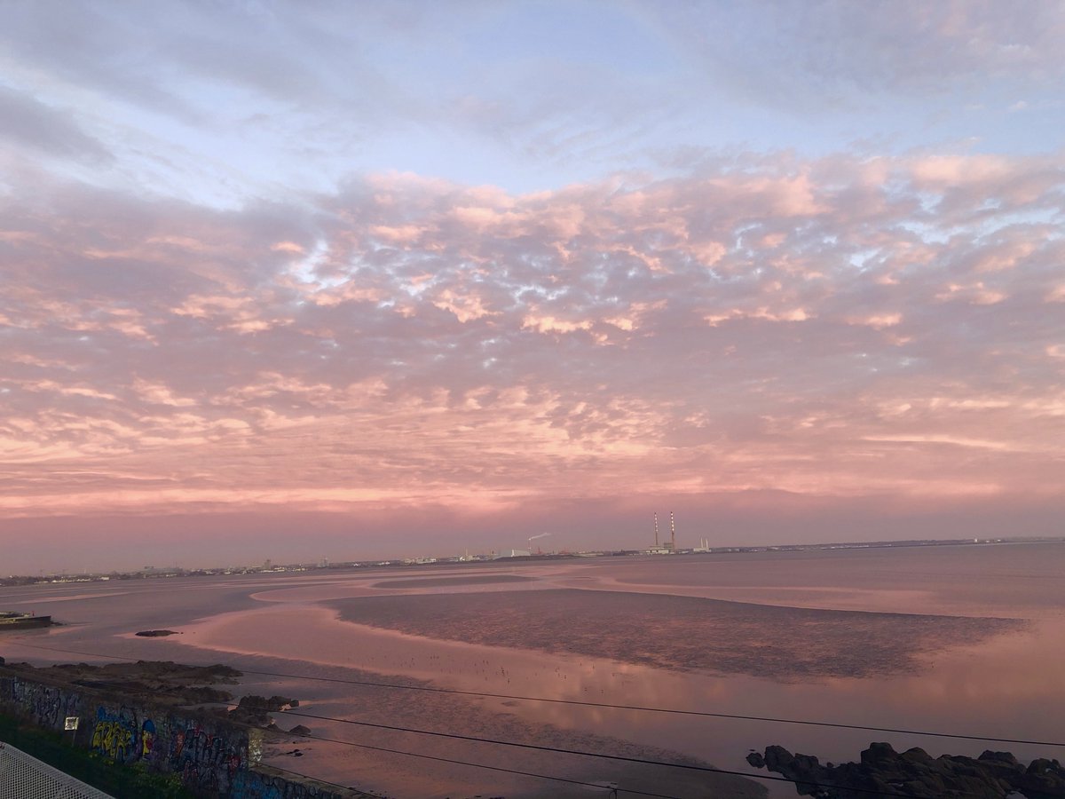 Peter Devlin tweet media