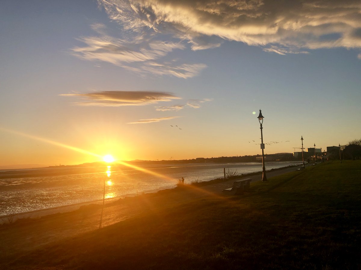 Peter Devlin tweet media