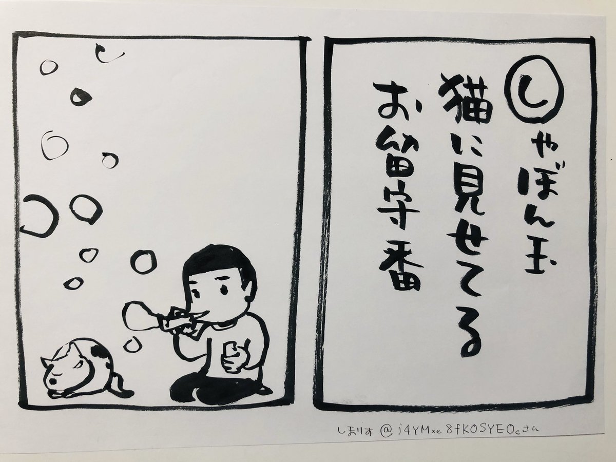 しまりすさん、ご当選です
可愛い過ぎる〜!  