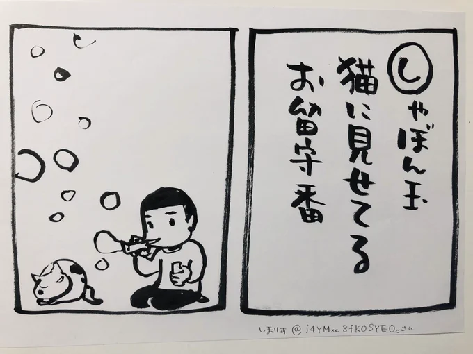 しまりすさん、ご当選です
可愛い過ぎる〜!  