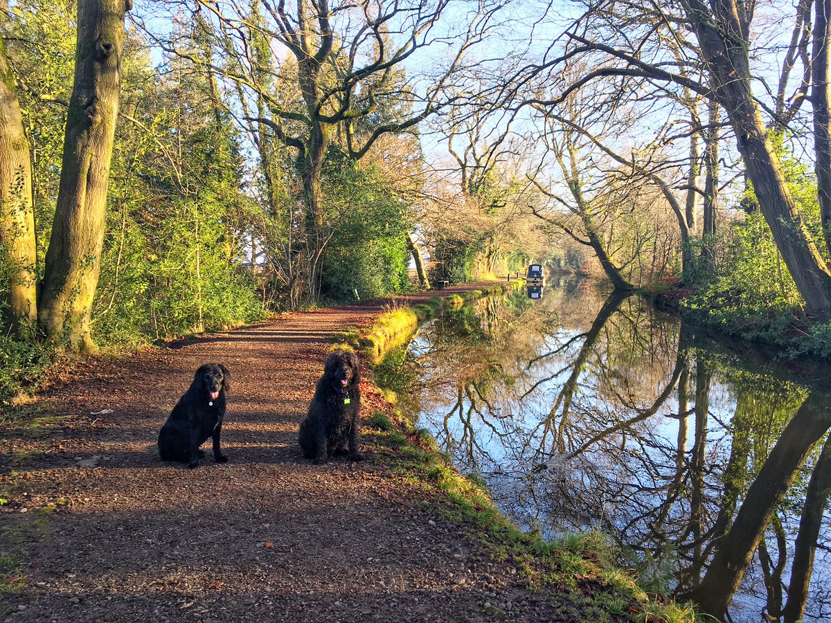 SimonHawkins's tweet photo. The #monbrec looking colourful in the winter sunshine! @CanalRiverTrust #breconbeacons https://t.co/Wz6dcVE6TD