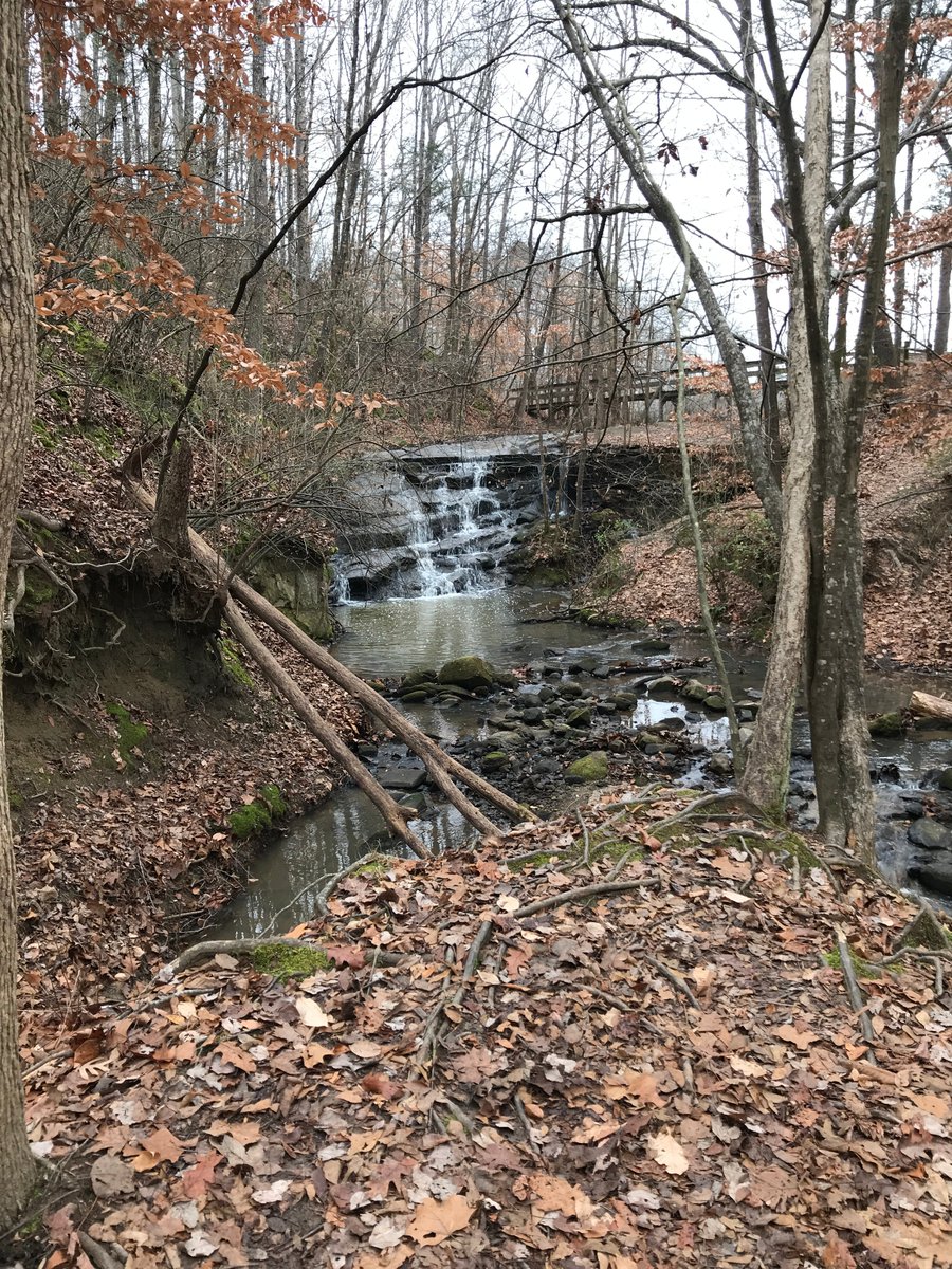 RunNerdGirl's tweet photo. Just signed up for an annual membership to the @ASCGreenway! It's going to be an awesome year of trail running!
#optoutside #trails #ascgreenway https://t.co/8v4vx2wYQv