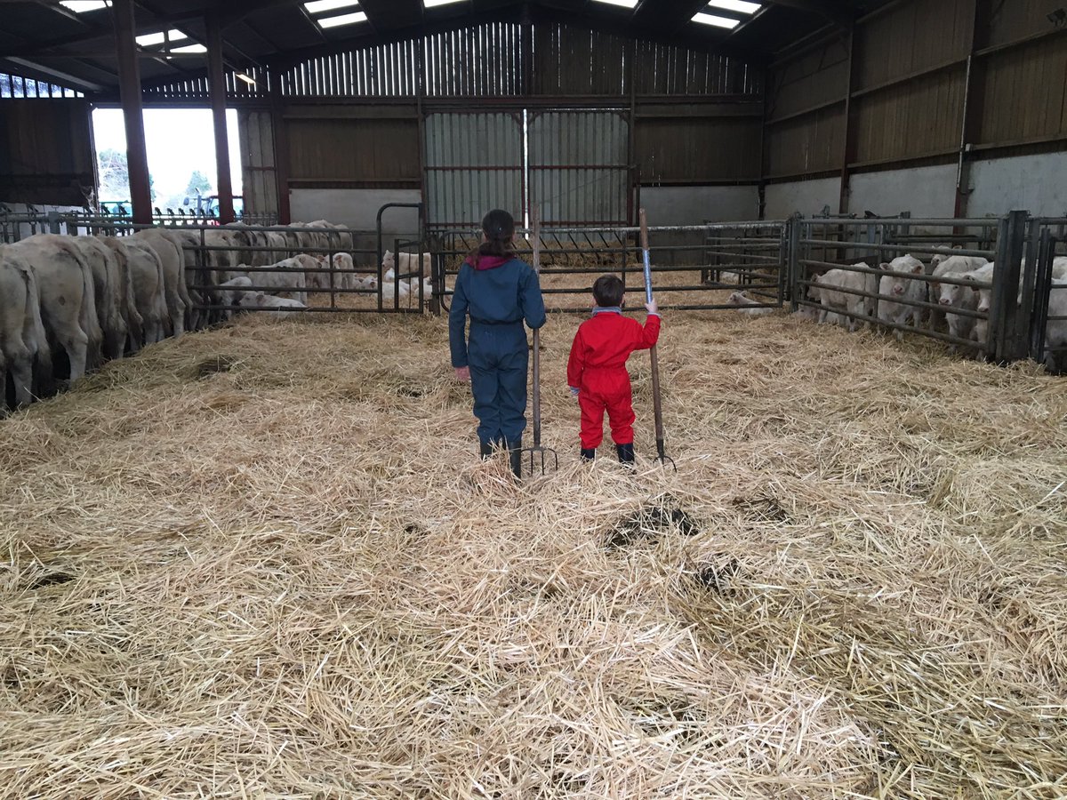 VARLET Alice (@alicevarlet) on Twitter photo Bienvenue aux nouvelles têtes 🐂 et vive les vacances MO en force🤩<a href="/usaa_02/">USAA 02</a> <a href="/ecvass02/">Charlotte Vassant</a> <a href="/devenireleveur/">devenir éleveur</a> <a href="/Christo10617446/">Christophe Moreaux</a> @ceuxquifontlaviande Bienvenue aux nouvelles têtes 🐂 et vive les vacances MO en force🤩<a href="/usaa_02/">USAA 02</a> <a href="/ecvass02/">Charlotte Vassant</a> <a href="/devenireleveur/">devenir éleveur</a> <a href="/Christo10617446/">Christophe Moreaux</a> @ceuxquifontlaviande