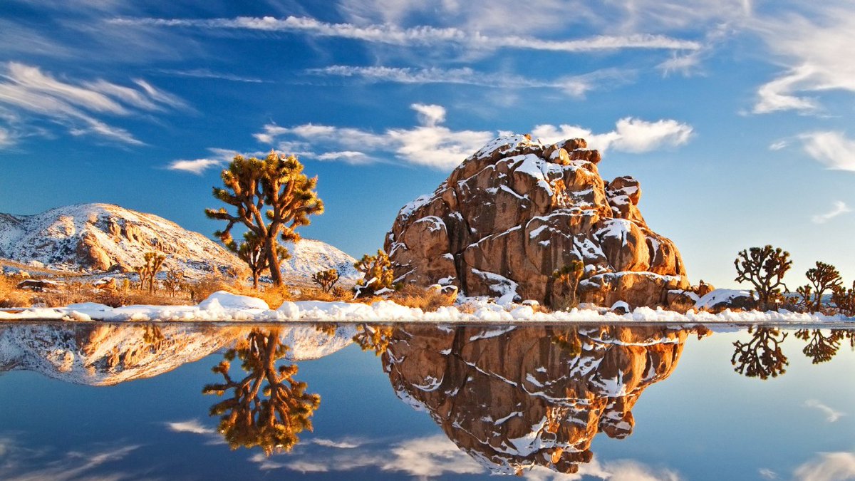 locationsunknwn's tweet photo. Joshua Tree National Park - California
#hiking #adventure #backpacking #travel #LocationsUnknown #JoshuaTreeNationalPark #California
Don't forget to like us and check out our podcast at: https://t.co/FSc146la6r https://t.co/802scJhvFP