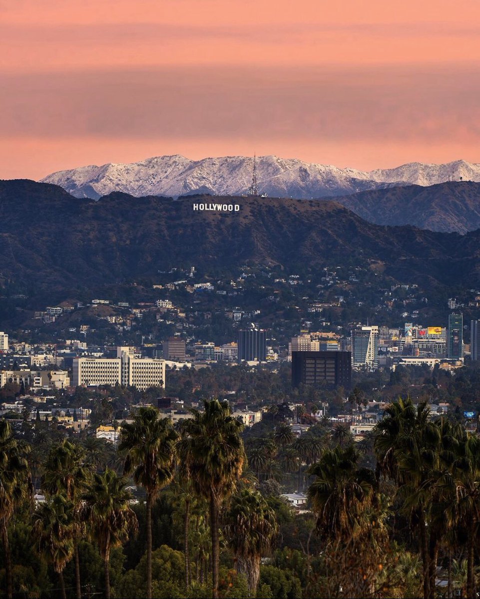 SBYellowCab's tweet photo. Los Angeles...the only place to catch snow on one side☃️ and palm trees on the other!🏝#RideYellow #Yourtaxiapp 🚕⠀
⠀
📸: @bay.photography https://t.co/qdEhoKKi1e
