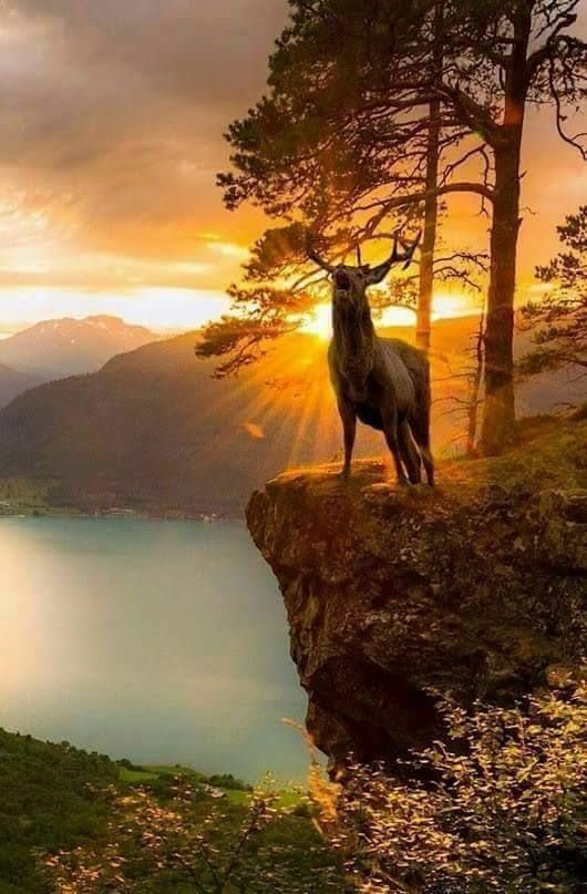 linda_belkaid's tweet photo. La vie, les êtres vivants, la nature sont de pures merveilles. Gardons notre cœur et tous nos sens en éveil pour apprécier et n’oublions pas de la remercier...
Pensée, Linda... https://t.co/RlDjUXSQVX