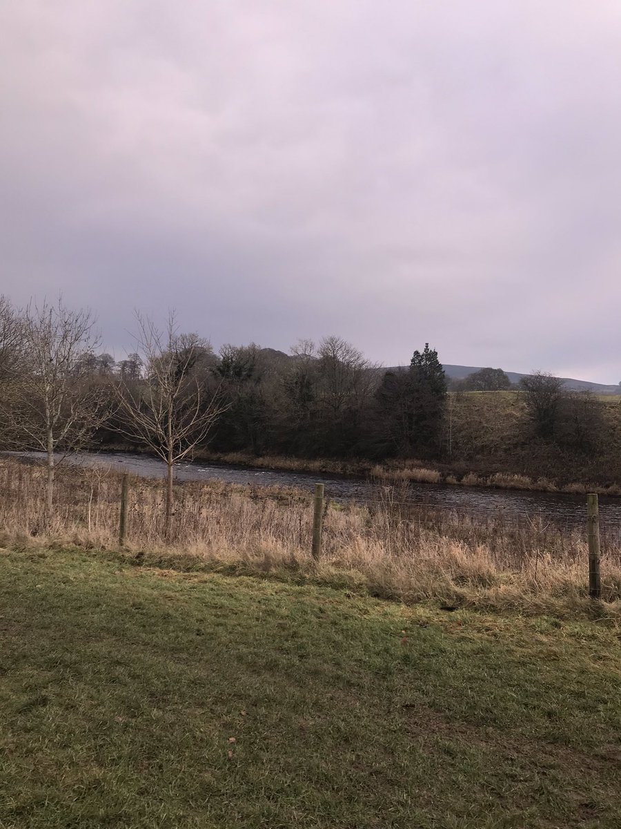 MissL_Sims's tweet photo. Love a nice walk followed by battered sausage and chips. Day we’ll spent 😆 https://t.co/tzl9izyYTn