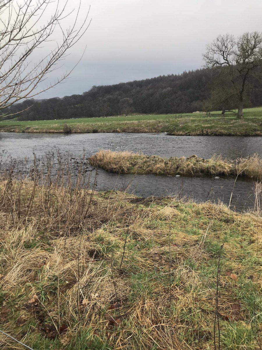 MissL_Sims's tweet photo. Love a nice walk followed by battered sausage and chips. Day we’ll spent 😆 https://t.co/tzl9izyYTn