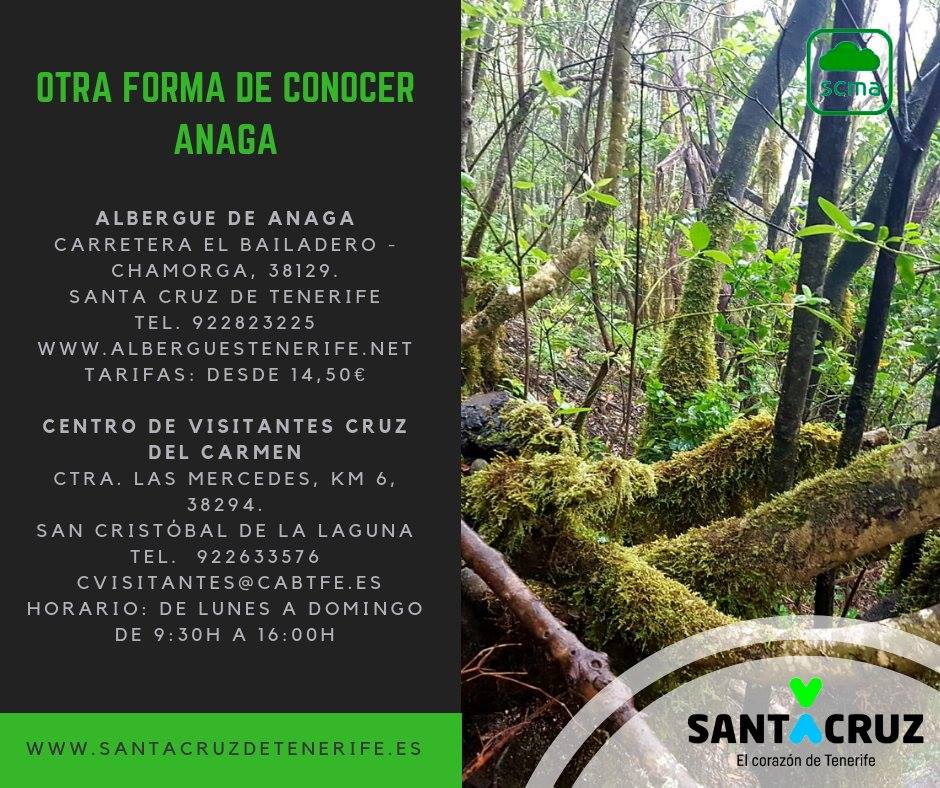 MedioAmbienteSC tweet media