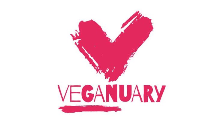 PlantBaseNg's tweet photo. Veganuary was created to inspire and support people who want to try vegan Ian for January and throughout the year.  

🔊🔊 I tried it this year for 100 DAYS and it changed my life. SWIPE to get an ebook I wrote after my 100 days vegan experience. 

#WhatsApp #plantbasenigeria https://t.co/fJeh8uIbwx