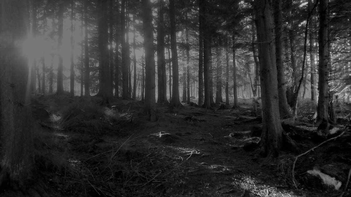 The search for Gilliam Gold is a new #drama introducing #psychic detectives #holmesandwatson to a shadowy world of mystery and paranormal #Supportindiefilm