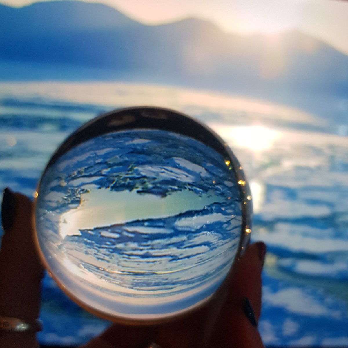 RhoRhoPhotos's tweet image. Playing with my glass ball and a nature documentary on the TV. #photography #rhorho #adventuresofrhorho #naturephotography