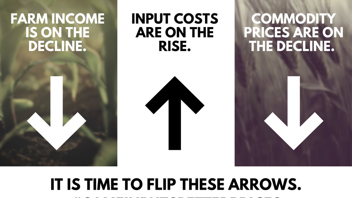 AgrellusFarm's tweet photo. #agrellus #ifarmwithagrellus #flipthearrows #sameinputsbetterprices #lowerinputcosts #increasefarmincome
https://t.co/6poWCOCzR2 https://t.co/Io1dNhB1k4