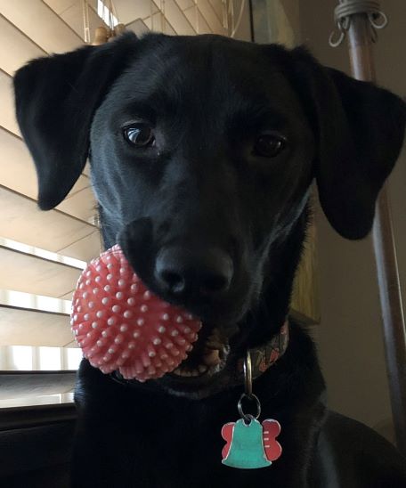 justRosie tweet media