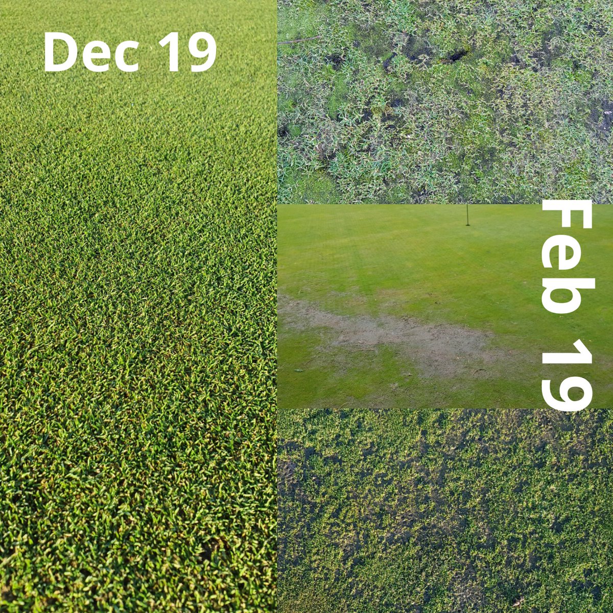 𝕋𝕠𝕞 𝔼𝕧𝕒𝕟𝕤 ⛳ tweet media