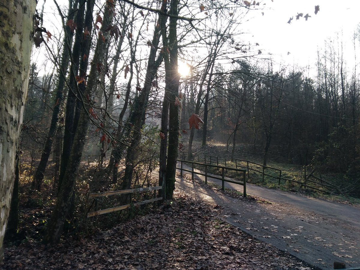 korsivobike's tweet photo. Ultima pedalata dell'anno sulla ciclabile dei colli di #Bergamo... poi si lavora. Va beh, anche il 2019 é volato.
#valmarina #parcodeicolli #mtb #mtblife #cyclinglife #cycling #steelvintagebikes #steelvintagebike #bianchi #biciacciaio #bici #bikelife #bike #senzabicinonsostare https://t.co/yJkyZdvegb