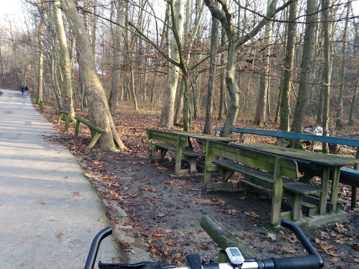 korsivobike's tweet photo. Ultima pedalata dell'anno sulla ciclabile dei colli di #Bergamo... poi si lavora. Va beh, anche il 2019 é volato.
#valmarina #parcodeicolli #mtb #mtblife #cyclinglife #cycling #steelvintagebikes #steelvintagebike #bianchi #biciacciaio #bici #bikelife #bike #senzabicinonsostare https://t.co/yJkyZdvegb