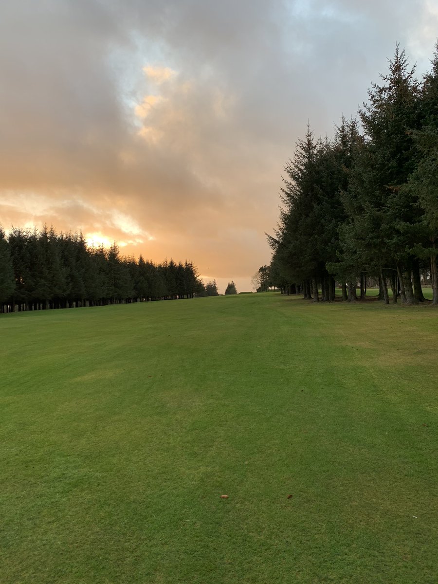 BumperGraham's tweet photo. #Hazelhead https://t.co/6NP6iKaVL0