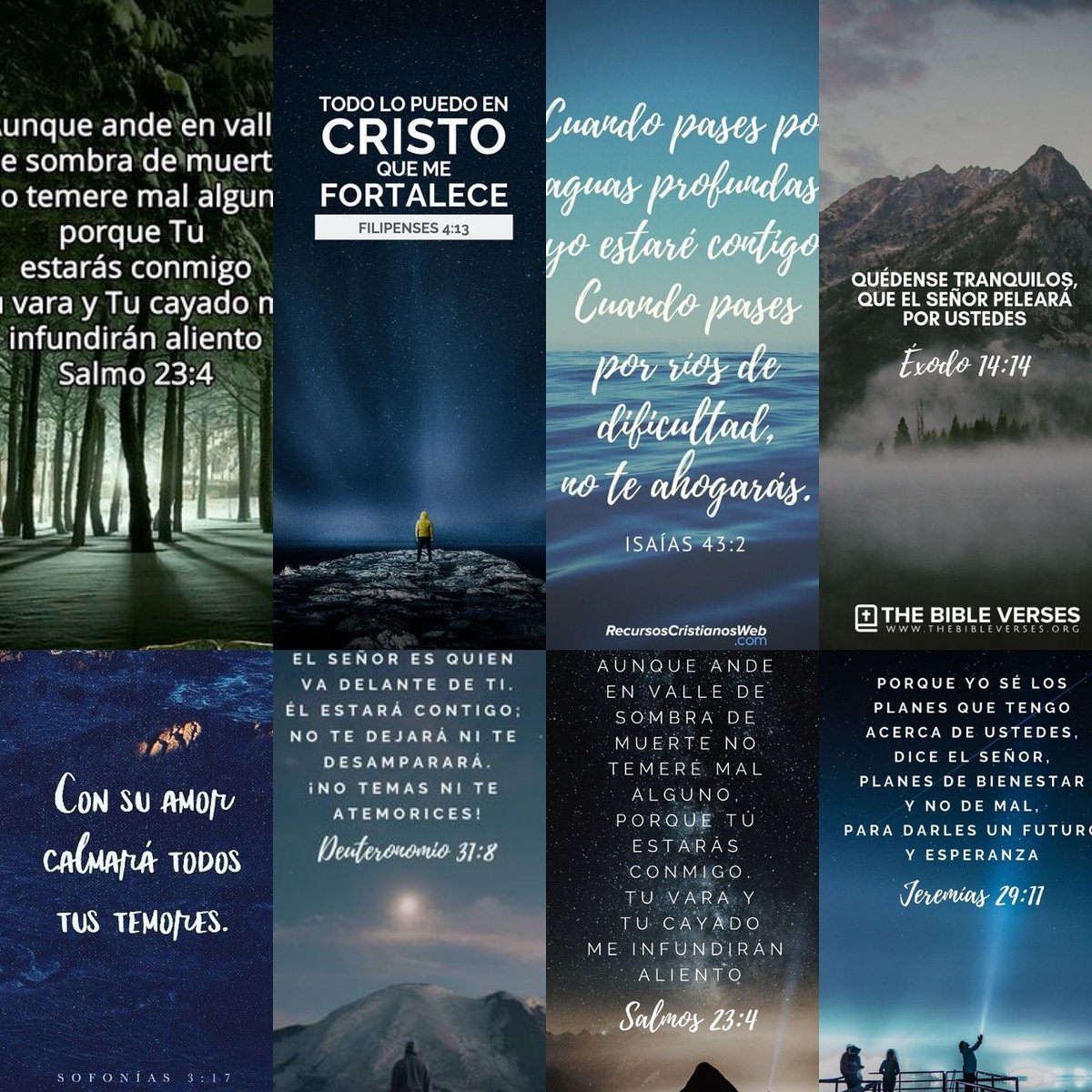 paobbasualdo's tweet photo. 2020 no temeré... Peleare las batallas correctas. Guiada de la mano de Dios! En Cristo somos más! Deuteronomio 2. https://t.co/SCDatLxVxH