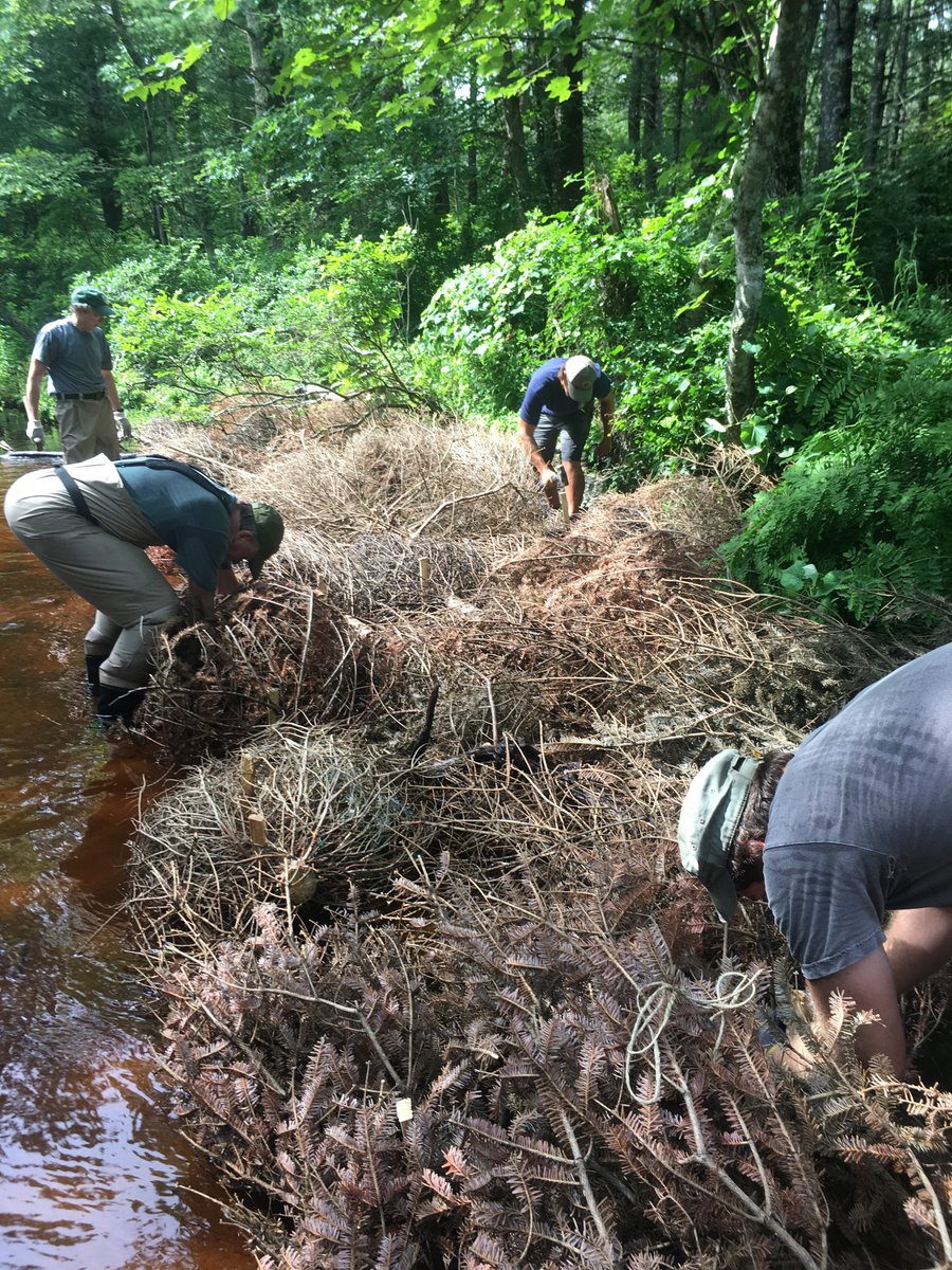 RhodeIslandDEM's tweet image. 2/2 Cut Christmas trees may be dropped off btwn 9a-1p, on Friday, Jan 3 + Friday, Jan 10 at DEM Division of Fish &amp;amp; Wildlife’s Outdoor Education Office in Exeter. Please call us at 401-539-0019 to schedule at drop-off time + remember to remove all tree stands, decorations + lights
