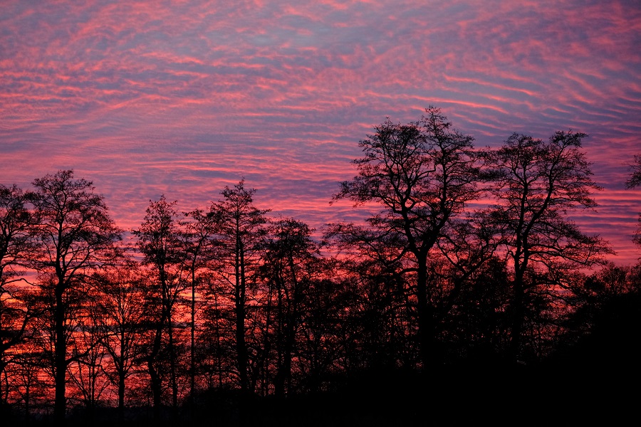 blue skies youtube.com/watch?v=LA-CBT… <a href="/DSunsets/">DutchSunsets</a>