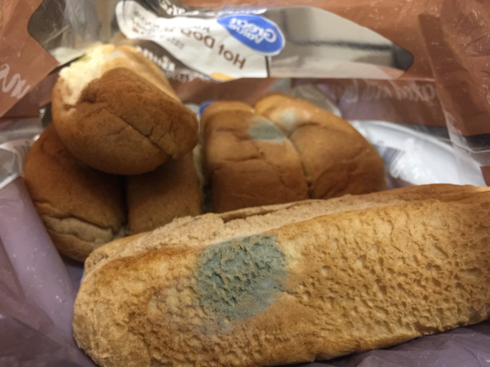 White House Photos on Twitter "William bought (Great Value, 100 Whole Wheat) a Hot Dog Buns on