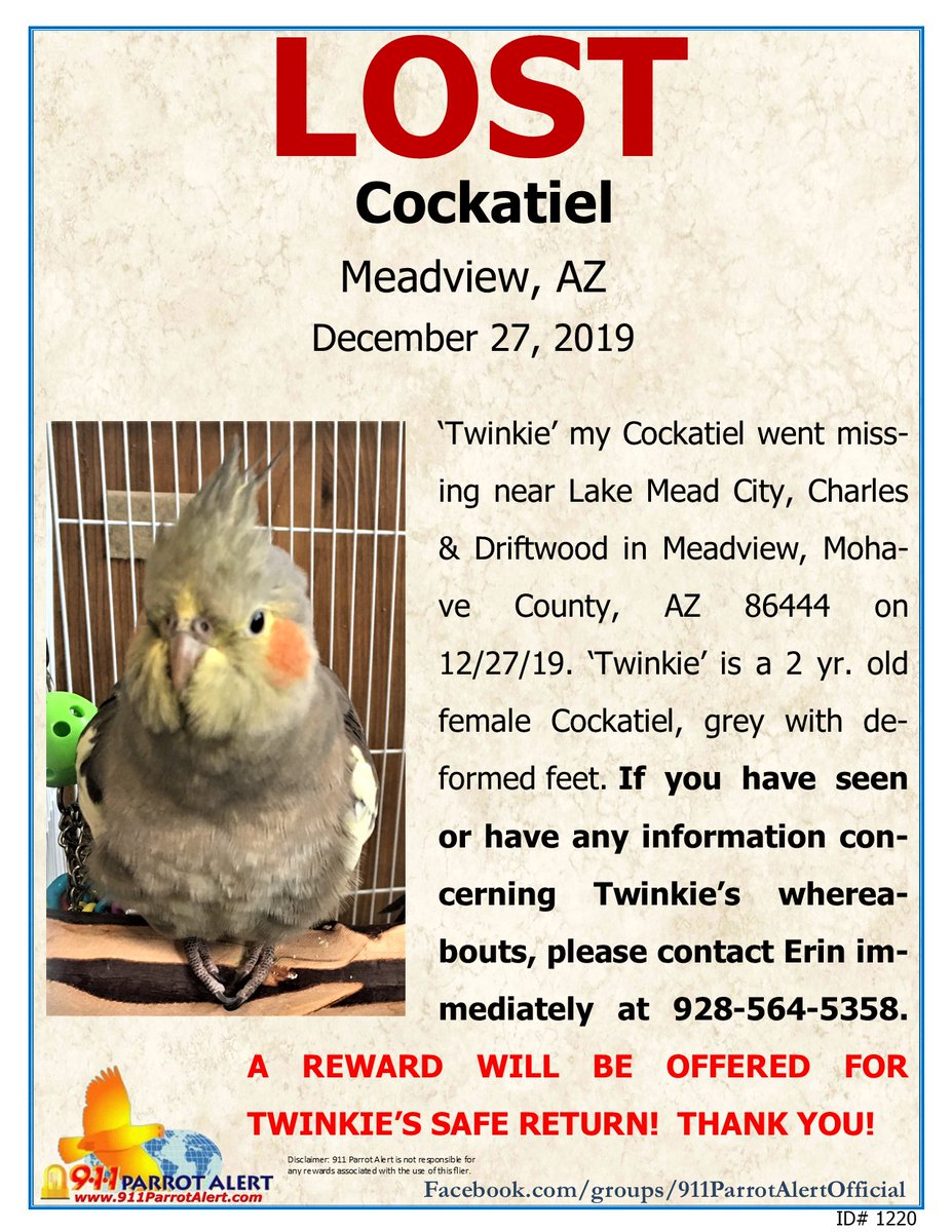 911ParrotAlert's tweet photo. LOST - COCKATIEL, 12/27/19, 'Twinkie', MEADVIEW, MOHAVE COUNTY, AZ

FB Post: https://t.co/HUxOJ3GTFE

#911ParrotAlert #lostbird #lostparrot #lostcockatiel #lostbirdAZ #lostparrotAZ #lostcockatielAZ #Meadview #Mohave #MohaveCounty #AZ #Arizona https://t.co/vqVOyxKaRR