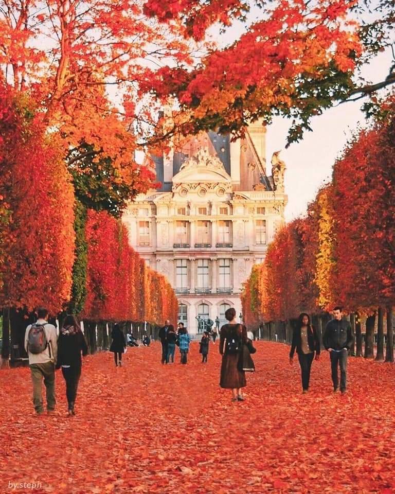 Lycafly's tweet photo. 2019 is close to an end!  We are here with some amazing #TravelPics in case you are seeking inspiration to prepare your bucket list for 2020.🤩🏖🏝
Which of these you have already been to? 
#LycaFlyHolidays #Holidays2020 #HappyNewYear #NewYear2020 https://t.co/w208YbTRvk