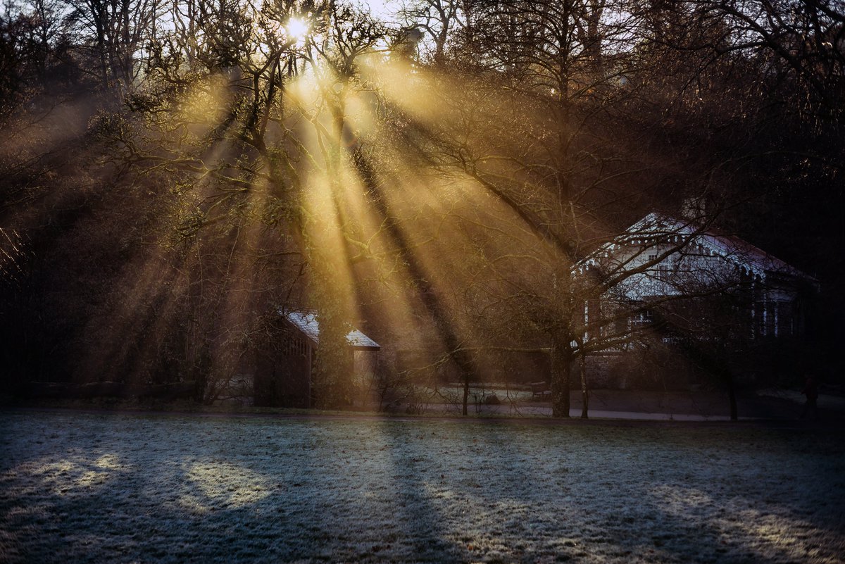 GlavindStrachan's tweet photo. Had to meet up with the old's today in #okehampton was a bit annoyed at how good the weather was and I wouldn't be on the moor ... but #simmonspark more than made up for that! #visitdevon #mist #sunbeams #winter #glavindstrachan https://t.co/BcRSncEBQy
