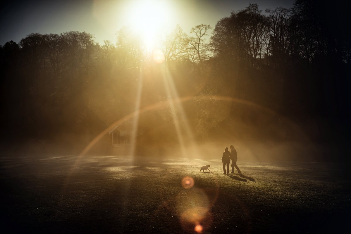 GlavindStrachan's tweet photo. Had to meet up with the old's today in #okehampton was a bit annoyed at how good the weather was and I wouldn't be on the moor ... but #simmonspark more than made up for that! #visitdevon #mist #sunbeams #winter #glavindstrachan https://t.co/BcRSncEBQy