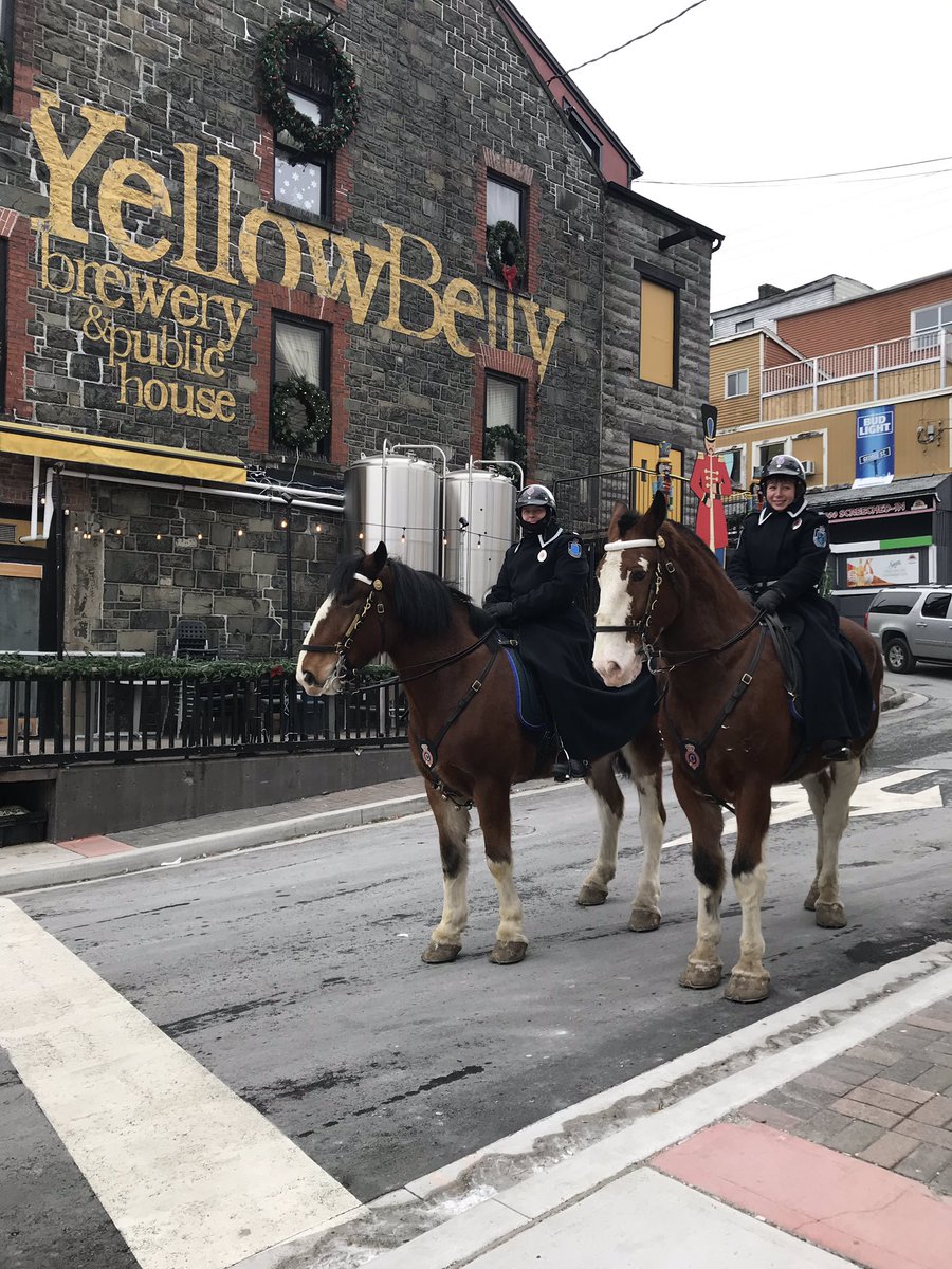 RNC_PoliceNL's tweet photo. These guys are back for #MountedUnitMonday after a relaxing holiday week. As New Year’s Eve approaches, they’re again reminding you to enjoy responsibly and to arrange a safe ride home to your stable! 🐴 https://t.co/qPunXqV1a1
