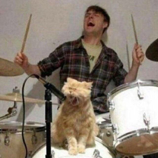 _ReedHopper's tweet image. 