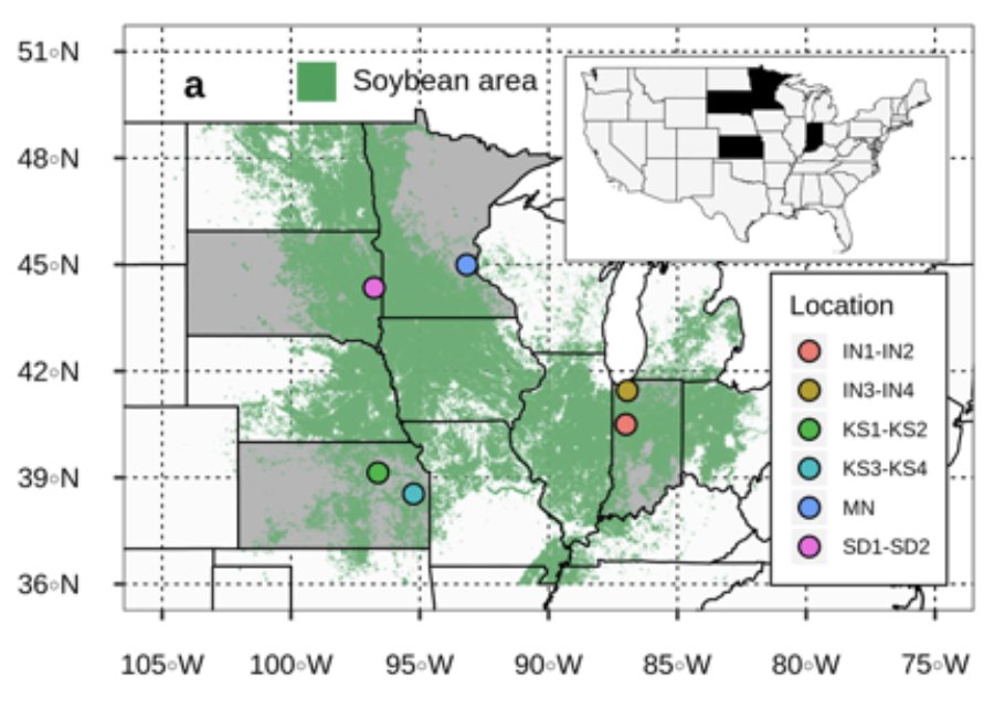 ICiampitti's tweet photo. Can additional inoculations increase #soybean yields, #Nfixation &amp; #seedquality? Check our new paper funded by @UnitedSoy. @kov_pet @SArchontoulis @sethnaeve @CasteelCorner @DavidsonDocD @secchimario @WalterCarciochi @arkAgResearch @KState_RSCAD 
Download: https://t.co/hjmMgnrY2d https://t.co/G2HZUYe4hI