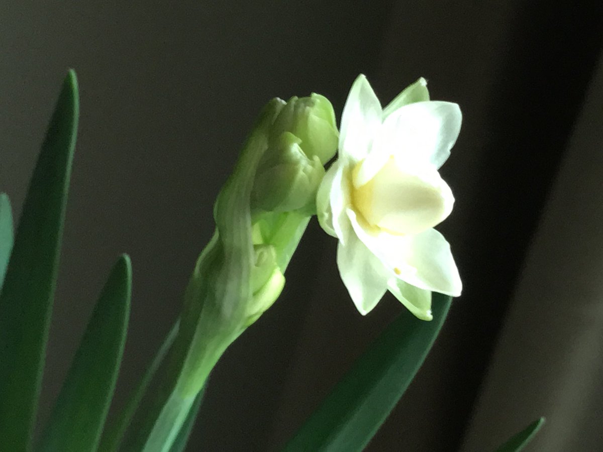 CJYoon4's tweet photo. "Faith is deliberate confidence in the character of God whose
ways you may not understand at the time."
Oswald Chambers
#Inspiration #Spirit #Sublime #Faith
#BePresent #BeLight #LastDaysOf2019 https://t.co/y4MkI7gVtr