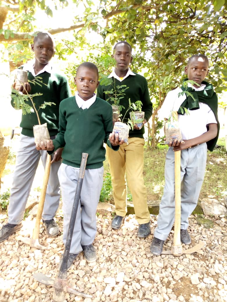 We want to make year 2020 even more better than 2019, Our planet need us all to plant trees. Your donation of Euro 1 or 1 dollar will help us plant 4 trees and give Oxygen to 16 people.