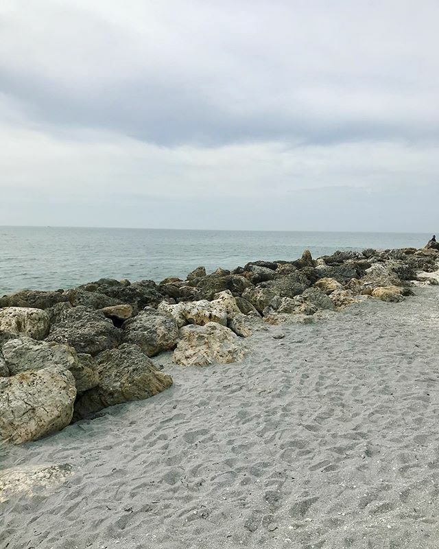 Mrs. Lirette's LD tweet media