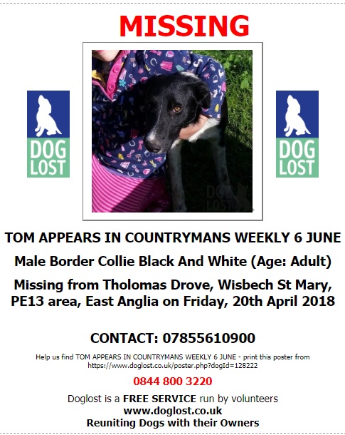 gelert01's tweet image. Its Collie Monday! 

The Month : April

The Year : 2018

#MEG #TOM Both still #Missing 

@rosiedoc666 @ChrstinaKelly @veryluckypugs @RachaelB100 @PAWSIreland @MollysHalo @FriendlyPawsPe1 @MarchPaw