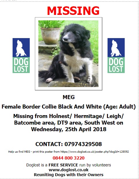 gelert01's tweet image. Its Collie Monday! 

The Month : April

The Year : 2018

#MEG #TOM Both still #Missing 

@rosiedoc666 @ChrstinaKelly @veryluckypugs @RachaelB100 @PAWSIreland @MollysHalo @FriendlyPawsPe1 @MarchPaw