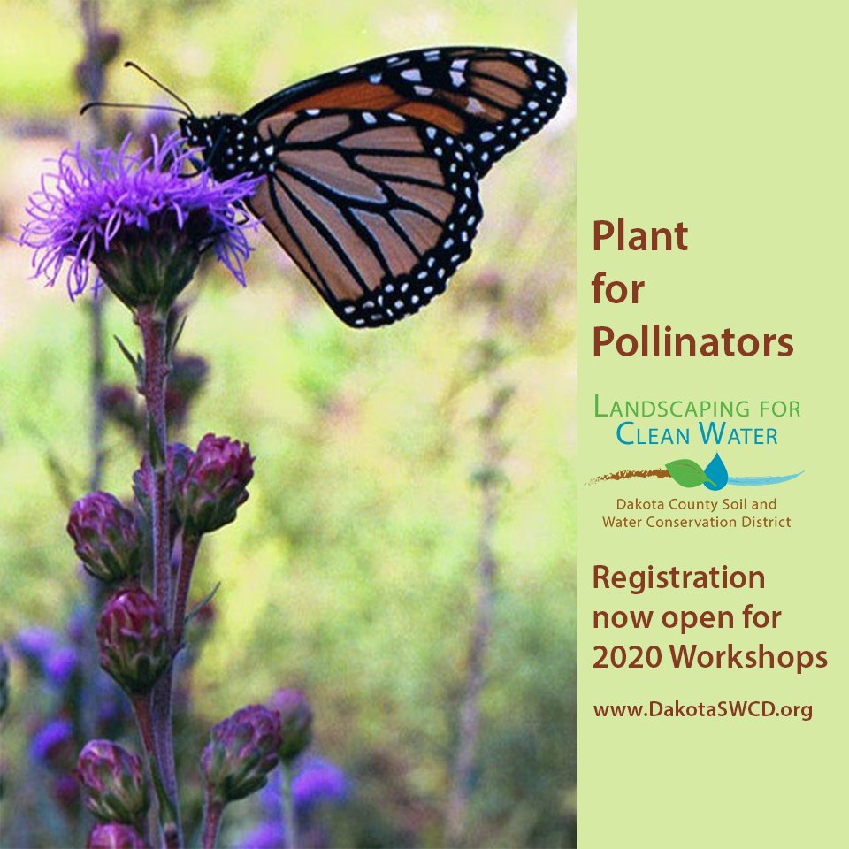 Thinking of spring? Join us for a FREE Landscaping for Clean Water presentation! See dozens of beautiful, affordable garden designs, learn about the benefits they provide and get an introduction to how you can get started on your own project. dakotaswcd.org/cleanwater_for…