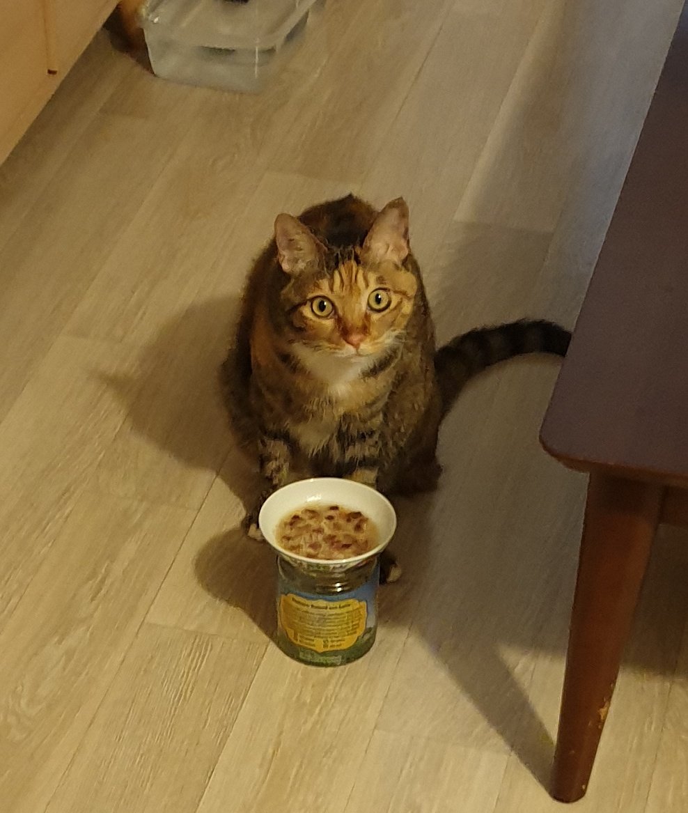 지금 이걸 먹으라고 준 겁니까?